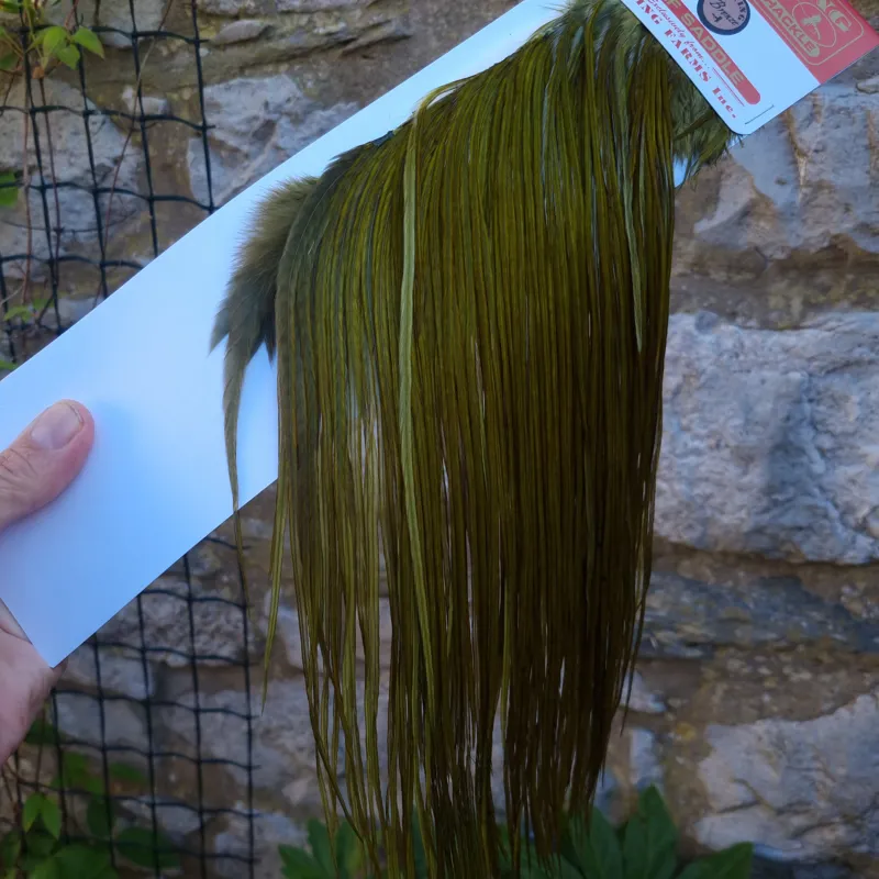 Whiting 1/2 BRONZE Grade Dry Fly Rooster Saddle in Dark Olive